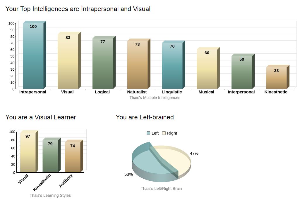Learning Styles - Test Results