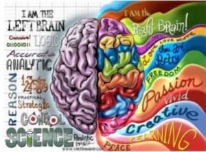 Split-Brain Theory