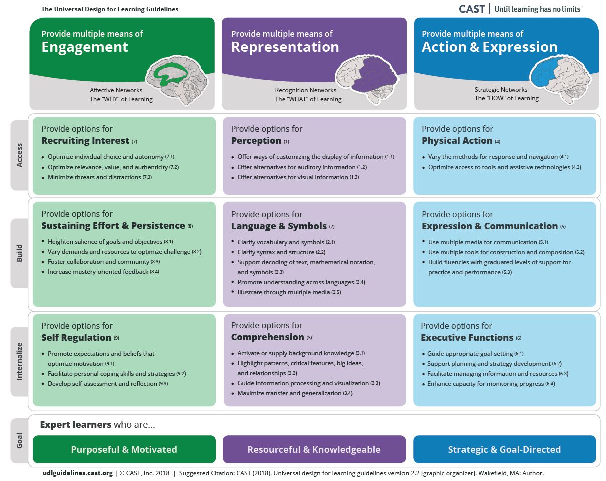 What Is Universal Design Learning UDL Brain Based Practical Guidelines For Effective Learning