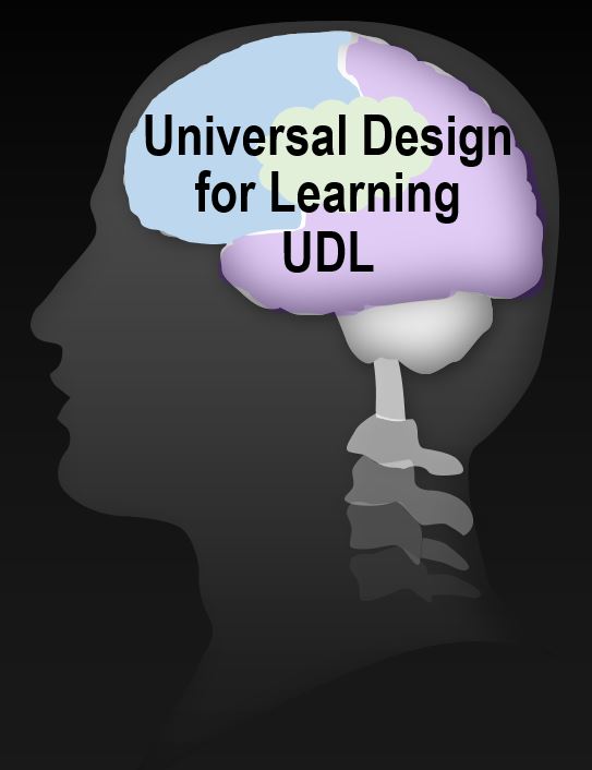 Universal Design for Learning