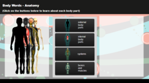 eLearning - SCORM - Anatomy